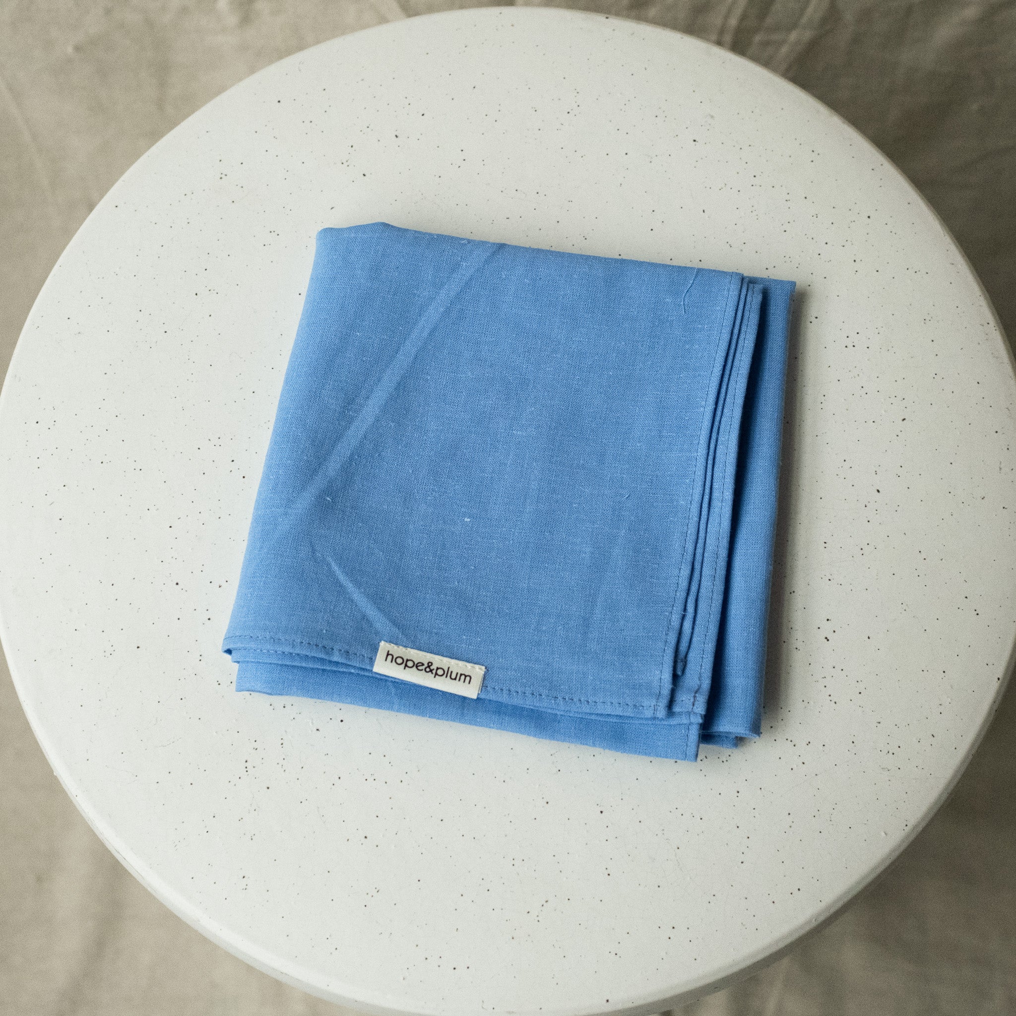 Large Bandana