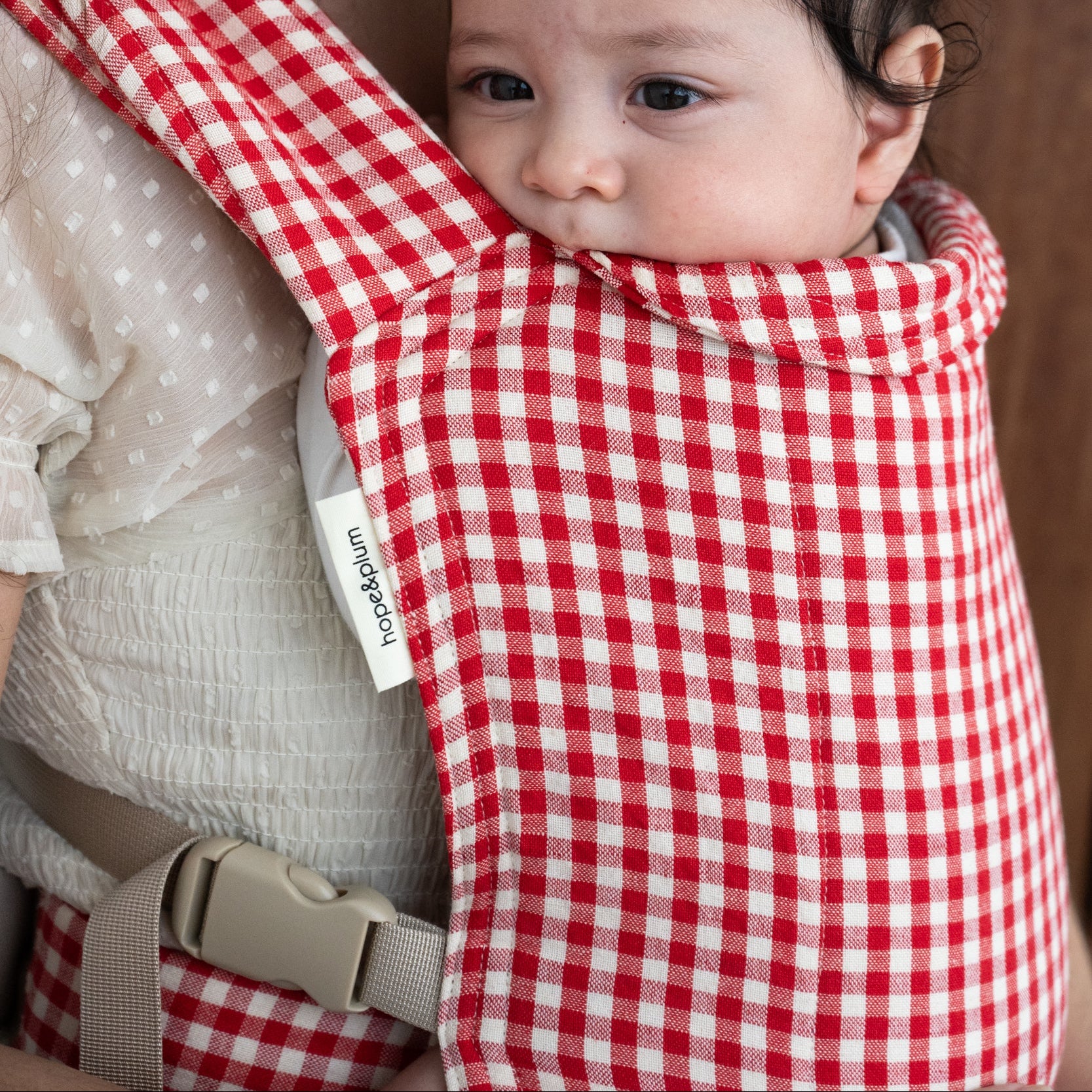 Woman holding a baby in a red and white gingham carrier.