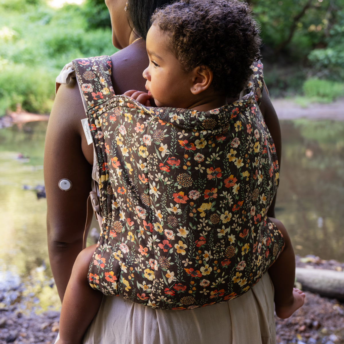 Ember Lark Kid Carrier