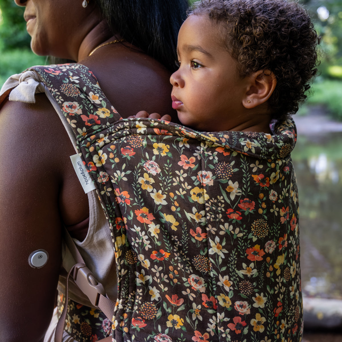 Ember Lark Kid Carrier