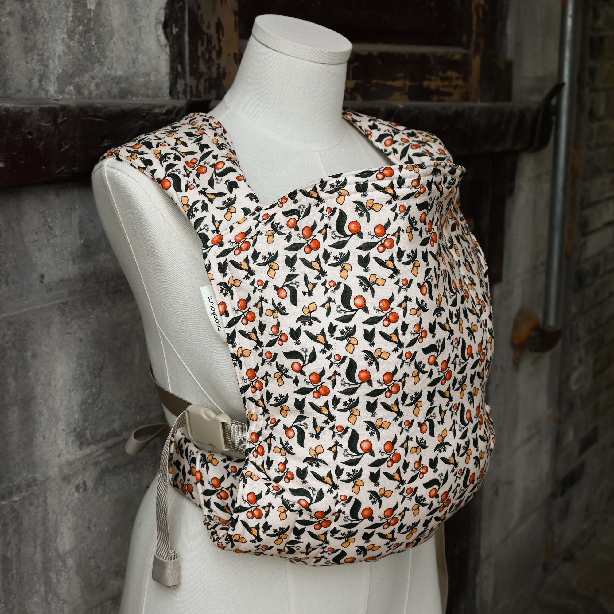 Citron - Lark Kid Carrier