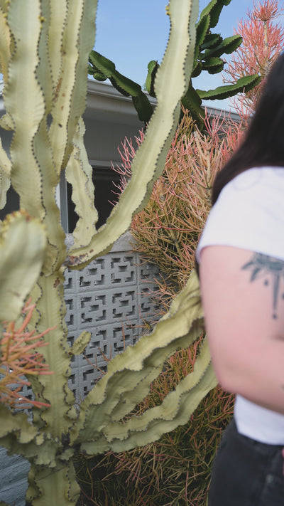 Ring Sling in Rodeo — caregiver with tattooed arms holding an infant snuggled into the mustang print sling, cactus garden behind.
