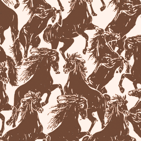 Rodeo